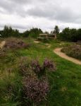 Benches on Sandy Hill Kersal Moor